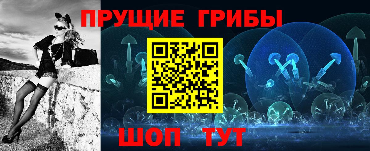 Галлюциногенные грибы Psilocybe Курск
